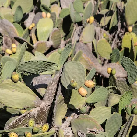 Nimbus Santorini Ξενοδοχείο με διαμερίσματα Οία