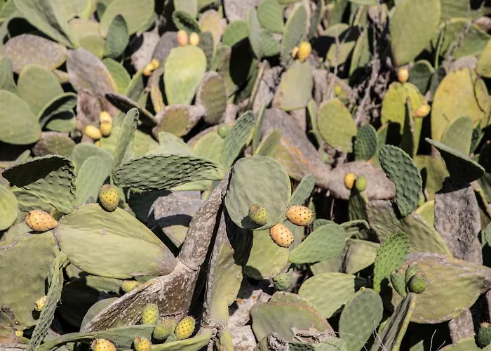 Nimbus Santorini Ξενοδοχείο με διαμερίσματα Οία